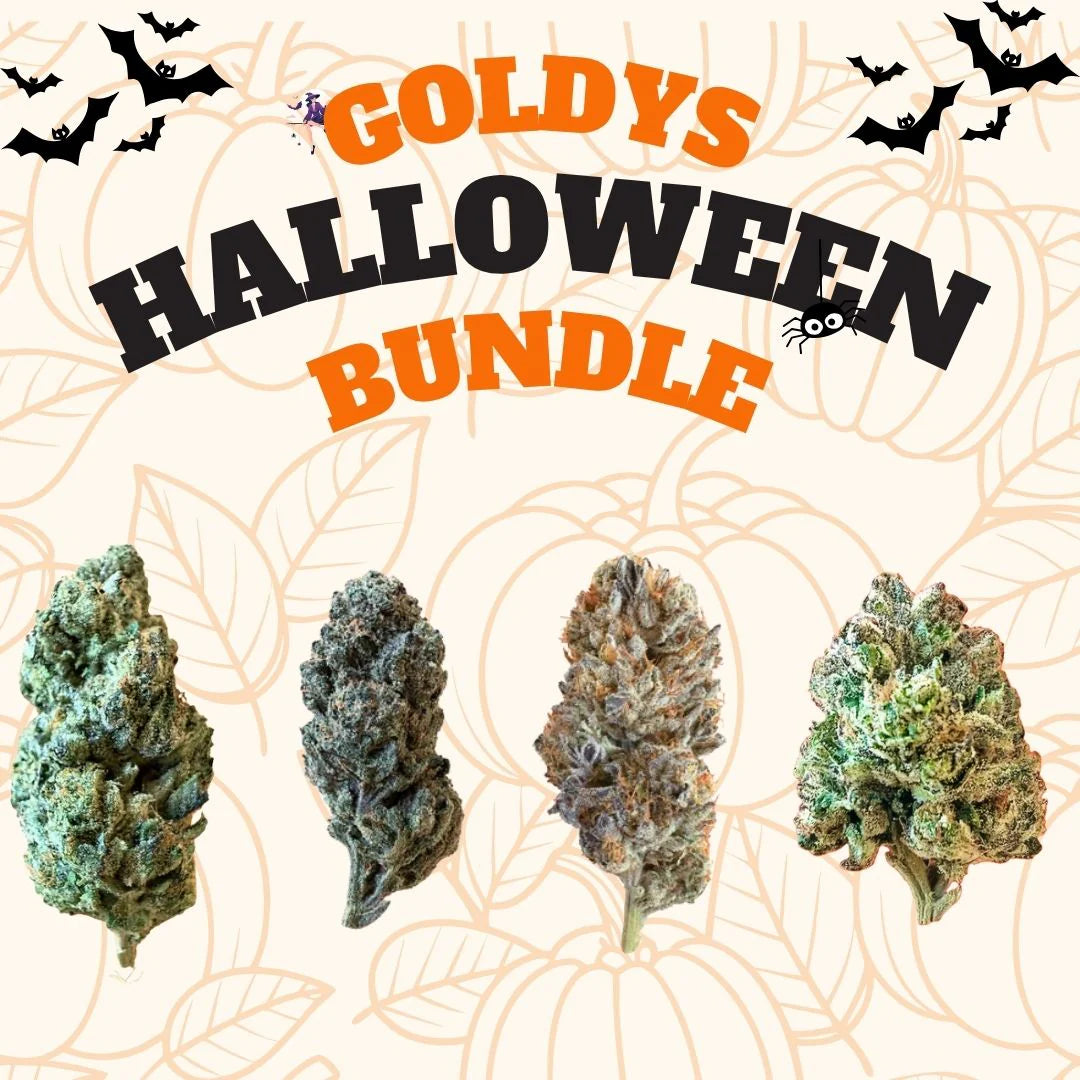 Halloween Special Bundle