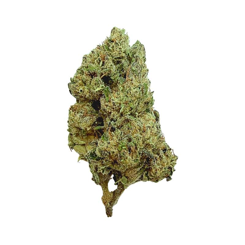 Goldy's Runtz (Obama Runtz) Vault Reserve Can – 7g
