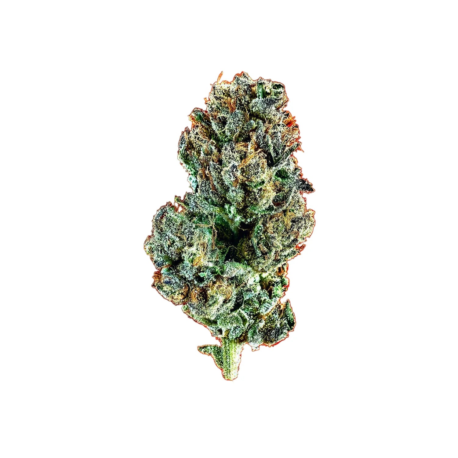 Hash Burger: Potent Indica Hybrid from Goldysflower