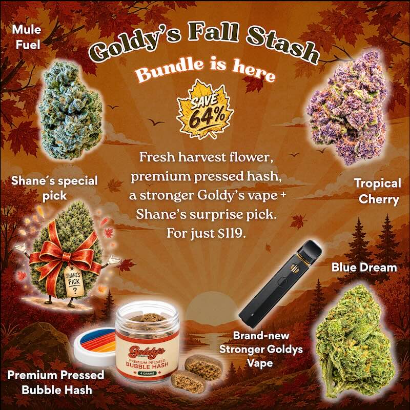 Goldy's Fall Stash Bundle