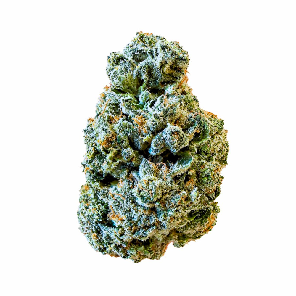 MULE FUEL — 3.5g