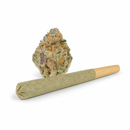 Tropical Cherry Pre-rolls